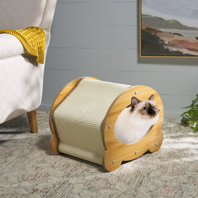 Chat à gratter