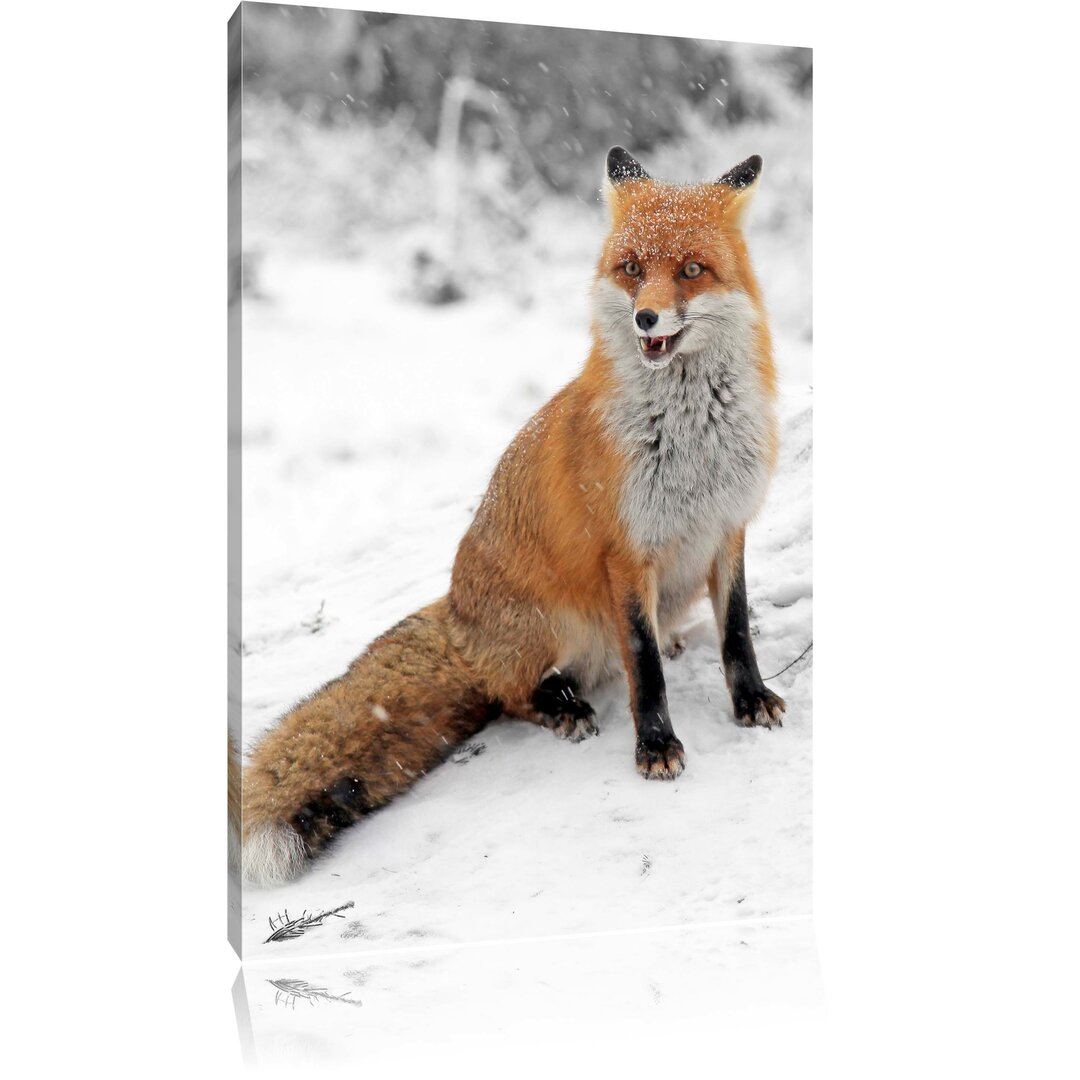 Leinwandbild Angespannter Fuchs im Schnee