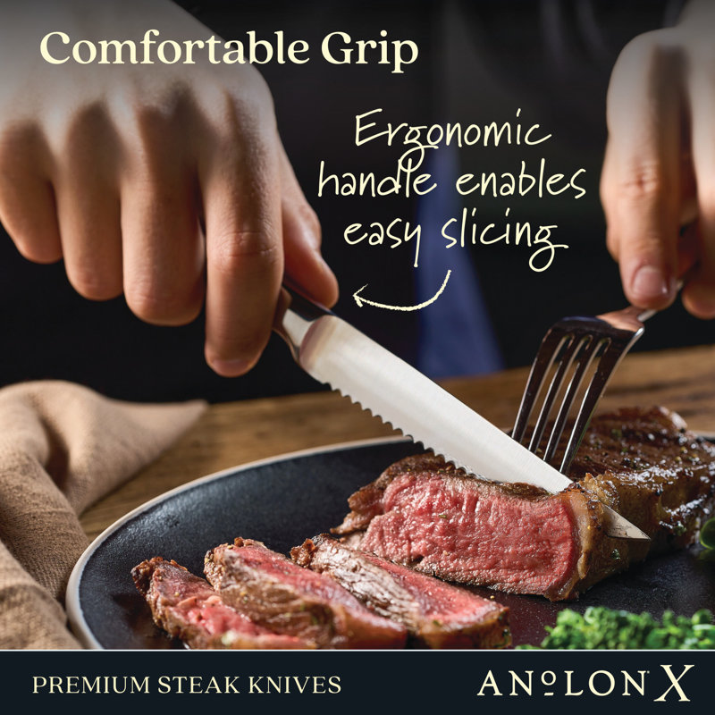 Anolon X Steak Knife Set, 4 Piece, Stainless Steel