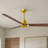 Alessandra 56'' Ceiling Fan-1813772001-1813771986