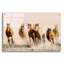 «Outlaws» par Lisa Dearing - photographie sans cadre-1001195020