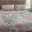 Photos des clients 1 de 1