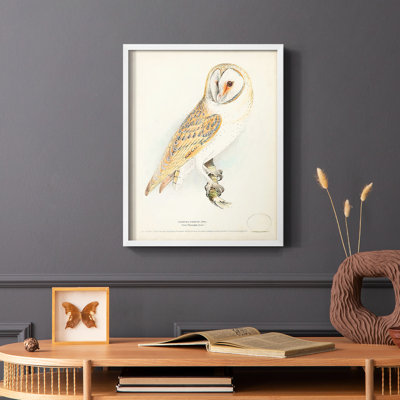 Barn Owl Framed Print - Solid Wood