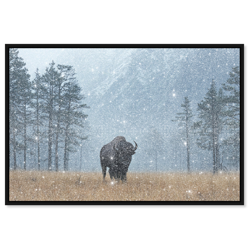 Mountain Bison II Print by Oliver Gal, 37" H x 55" W, Black Floater Frame