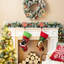 Ensemble de chaussette de Noël, chien et chat
