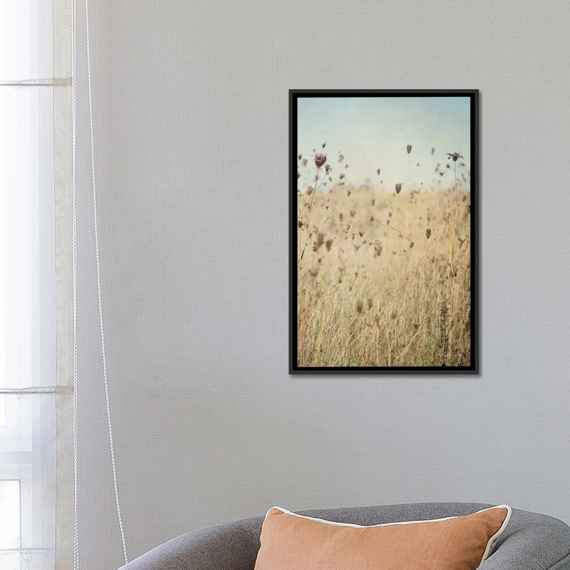 « chute de reine anne dentelle ii », reproduction de photo sur toile tendue, H 26 po x l 18 po x P 1,5 po, Pas de tapis