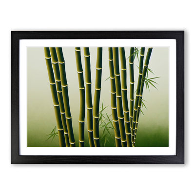 Bold Bamboo Forest - Single Picture Frame Print