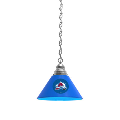 1 - Light Single Pendant