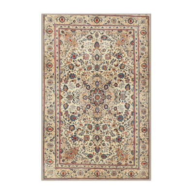 Aneira Oriental Indoor Rug