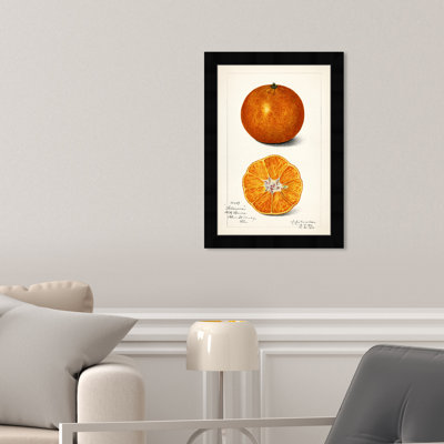 " Still Life " by Oliver Gal