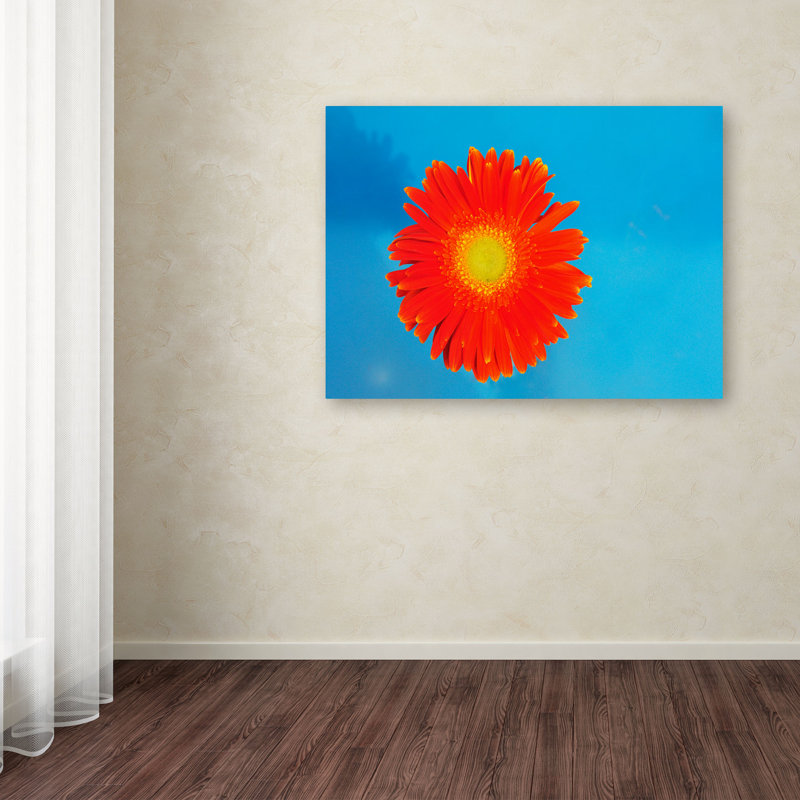 « orange et bleu » par kurt shaffer, impression sur toile, H 22 po x l 32 po x P 2 po