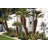 Bandit Solid Aluminum 15.5" H X 4.5" W Outdoor Wall Light-1171225914-1171225893-1140745631