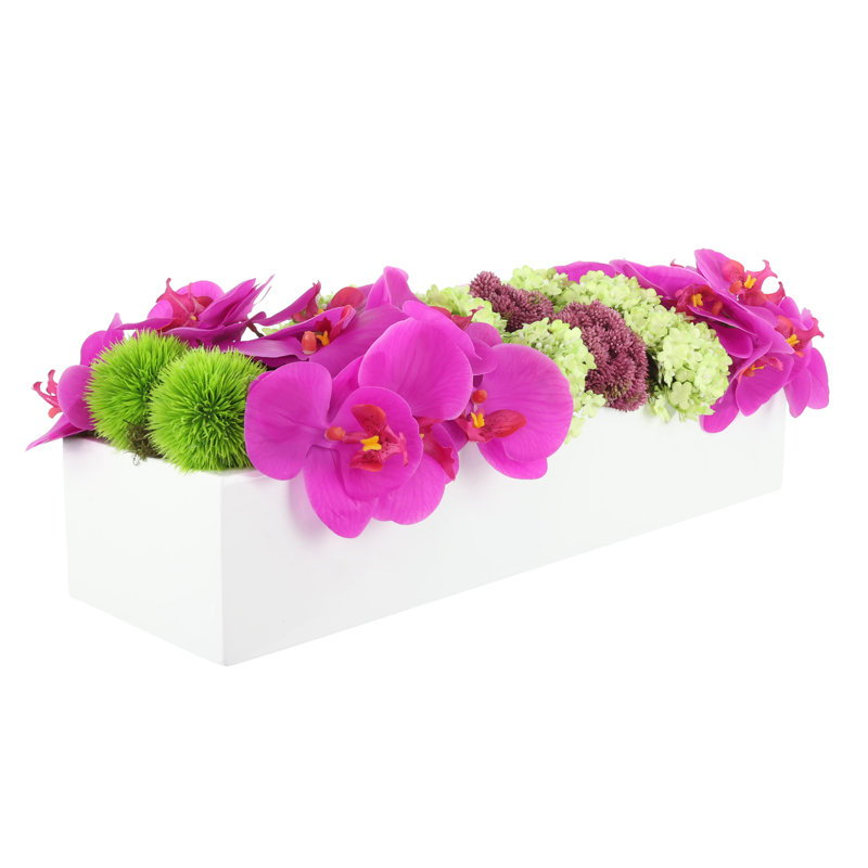 Modern Orchid and Succulent Arrangement