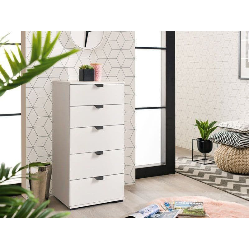 Azalynn 5 Drawer Storage Drawer