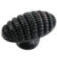 Oval Knob-516290696