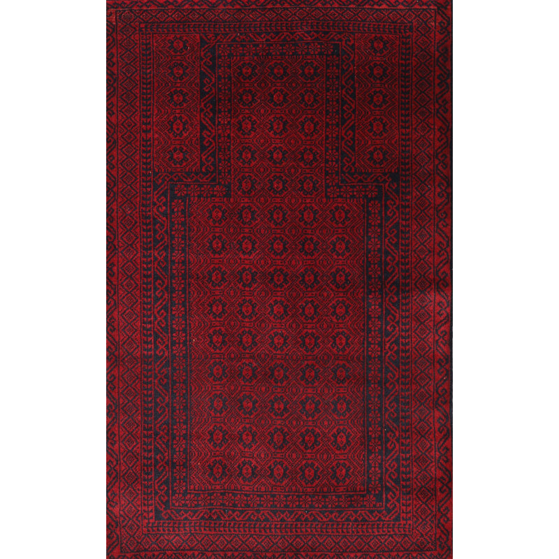 Performance Wool Oriental Indoor Rug
