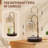 Fragrance Candle Warmer Lamp with 2 Bulbs Electric Candle Warmer with Timer & Dimmer for Home Decor
