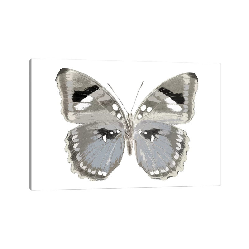 Butterfly In Grey II by Julia Bosco - Gallery-Wrapped Canvas Giclée on Canvas, Wrapped Canvas, 45.72cm H x 66.04cm W