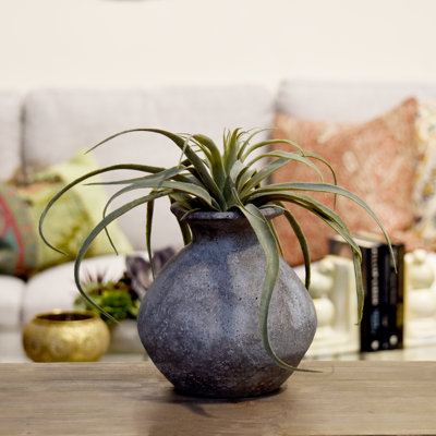 Geralynn Pot Planter