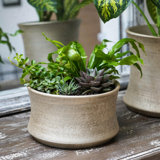 Luxe Indoor Planting Bowl with Metallic Finish