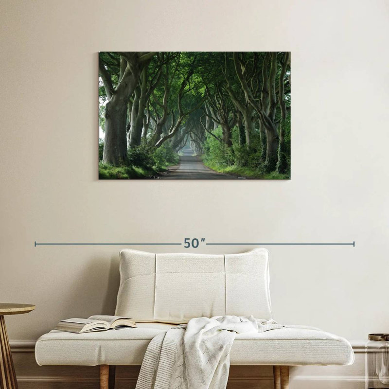Harnek Dark Hedges, 24" H x 36" W