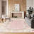 Luxurious Hall Carpet, 100% Velvet Fabric, 2.6 x 9.8 ft | Antibacterial & Non-Slip | 0.4 in Pile Height, Machine Washable | Durable Woven Design with 3D Digital Printing | Perfect for Home Entryways & Living Rooms-2002115934