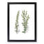 Mugwort Flowers Illustration - Picture Frame Painting Print-55581111-55581114