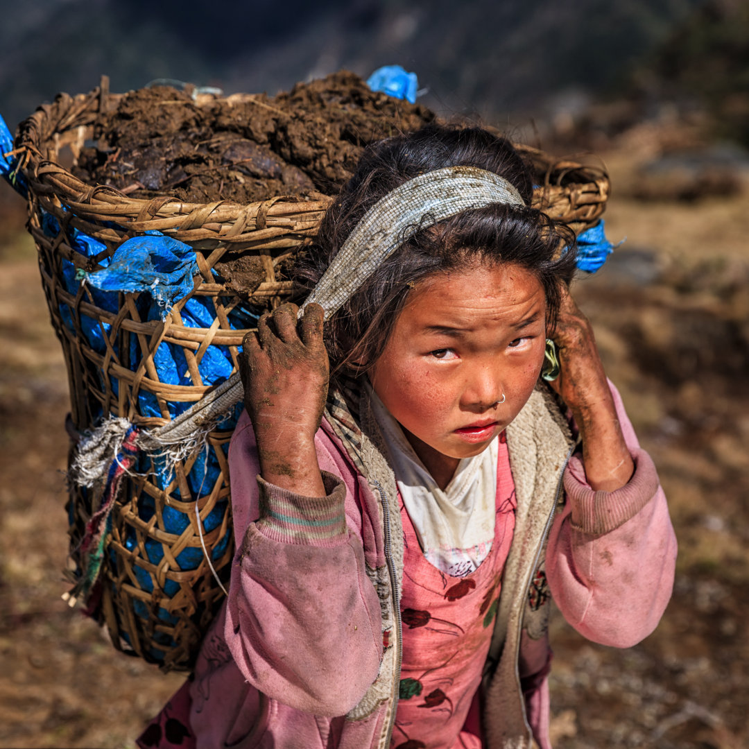 Girl Carrying 40Kg Yak'S Dung von Hadynyah - Kunstdrucke auf Leinwand