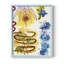 Flower Power I, reproduction encadrée - bois massif-1242868956-1242868957