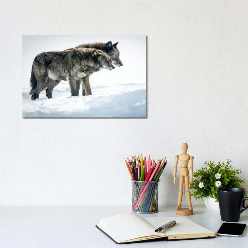 Side By Side by David Gardiner - Wrapped Canvas Print, 20.32cm H x  30.48cm W