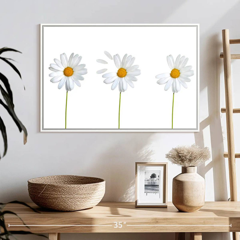 Marguerites plumées, Cadre flottant blanc, 25 po x 17 po