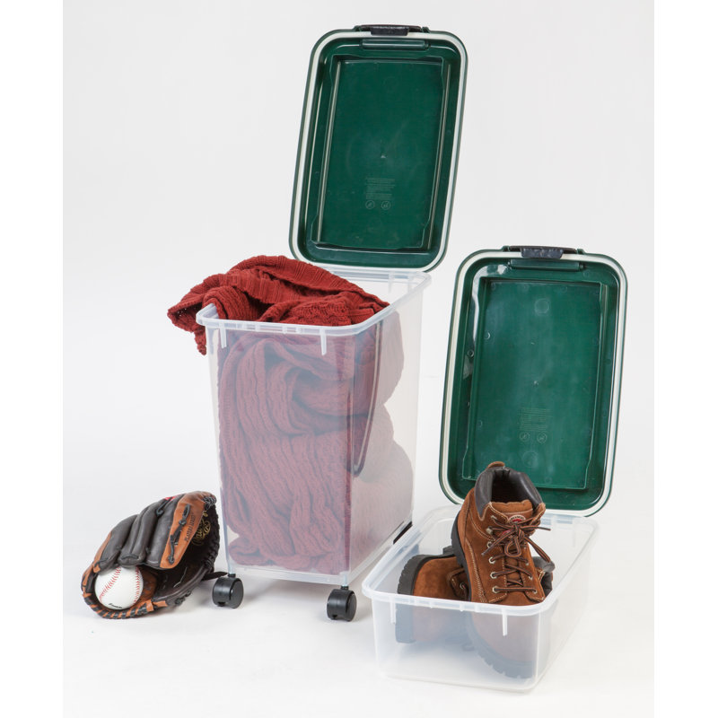 Green Airtight Plastic Pet Food Storage Container Combo with Scoop