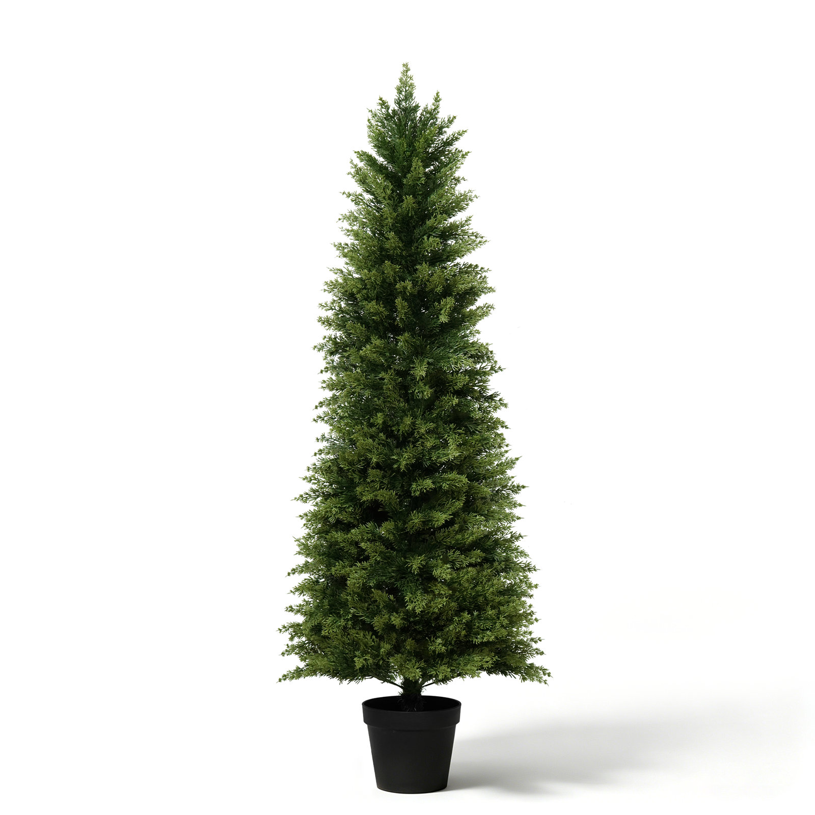 Cypress Topiary in Pot, 2, 25.2'' H x 14.57'' W x 14.57'' D
