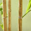 Faux bambou 70,75 po en pot