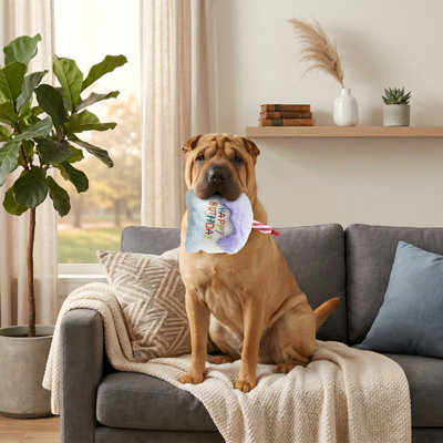 Joyeux anniversaire, jouet pour chien en peluche avec froissé, cadeau de chiot en peluche pour fête d'anniversaire, pour petits et moyens chiens