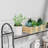 Dorsie Metal Weather Resistant Plant Stand