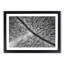 Road Through the Winter Forest - Picture Frame Graphic Art Print-55758709-55758710