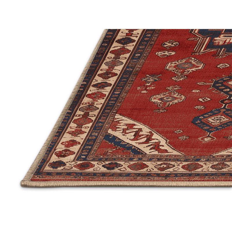 Tapis brun turc lavable à la machine, Rectangle 4pi x 6 pi
