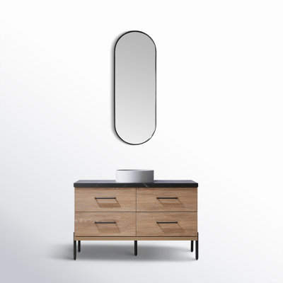 Dasher 48'' Single Bathroom Vanity with Mirror