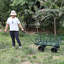 Wagon Cart Garden Cart-125205200