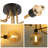 Byrin Glass Spotlight