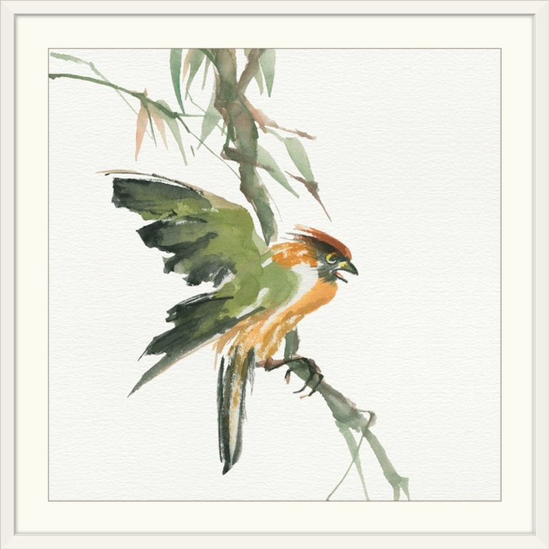 Ayled «Formose Firecrest» par Chris Paschke, reproduction d'art, H 38 po x l 38 po x P 1 po, Cadre blanc