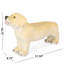 Banc Brown Dog Fascination - Aucun assemblage requis, convient au style extérieur, léger et parfait pour les espaces extérieurs.