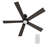 60'' Ceiling Fan with LED Lights-926586045-926586044