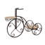 Brodbeck Multi-Tiered Plant Stand