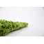Tapis vert Torun-715440270-792322433