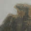 Sonora Print by Paul Meyer