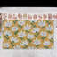 Tapis de porte Coir Shasta Daisy 10 X 30-96887371