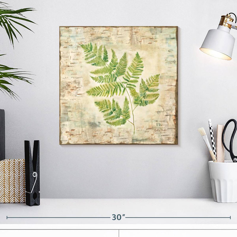 Harnek Birch Bark Ferns II, H 16 po x l 16 po