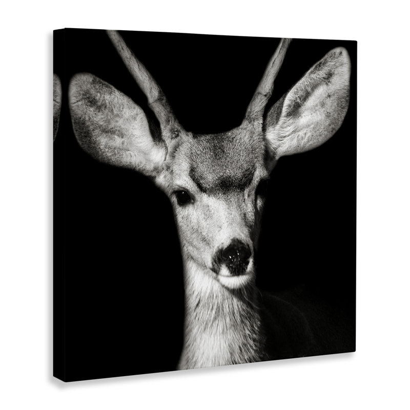 «Gazing Deer Portrait» par Kathy Mansfield, H 24 po x l 24 po